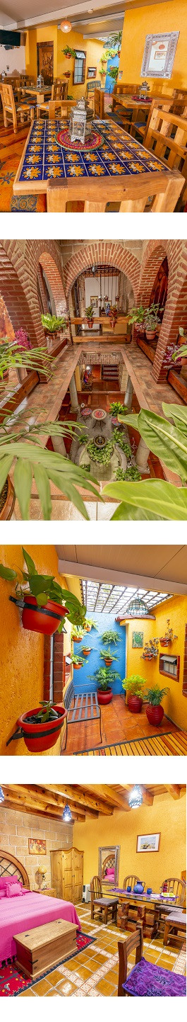 Mexsuites Casa Azul B&B Mexico City